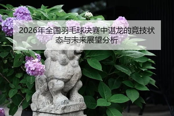 nian-quan-guo-yu-mao-qiu-jue-sai-zhong-chen-long-de-jing-ji-zhuang-tai-yu-wei-lai-zhan-wang-fen-xi-2-760.jpg