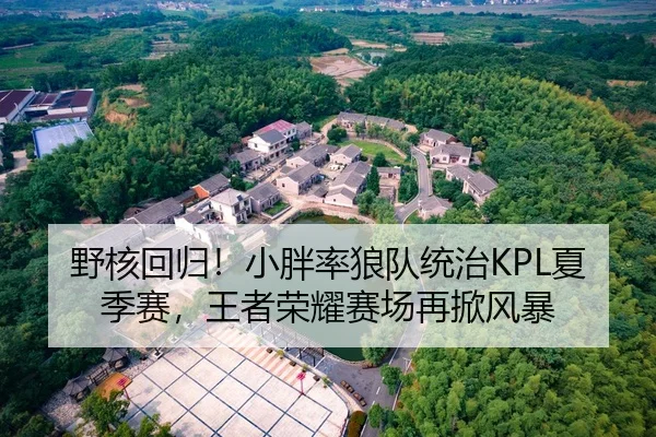 野核回归！小胖率狼队统治KPL夏季赛，王者荣耀赛场再掀风暴