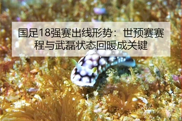 guo-zu-qiang-sai-chu-xian-xing-shi-shi-yu-sai-sai-cheng-yu-wu-lei-zhuang-tai-hui-nuan-cheng-guan-jian-2-598.jpg