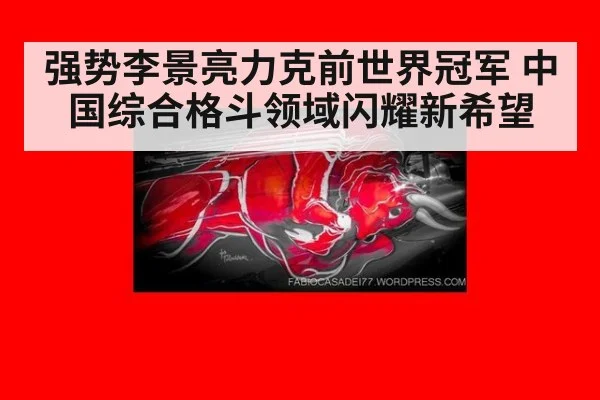 强势李景亮力克前世界冠军 中国综合格斗领域闪耀新希望
