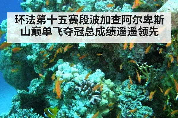 环法第十五赛段波加查阿尔卑斯山巅单飞夺冠总成绩遥遥领先